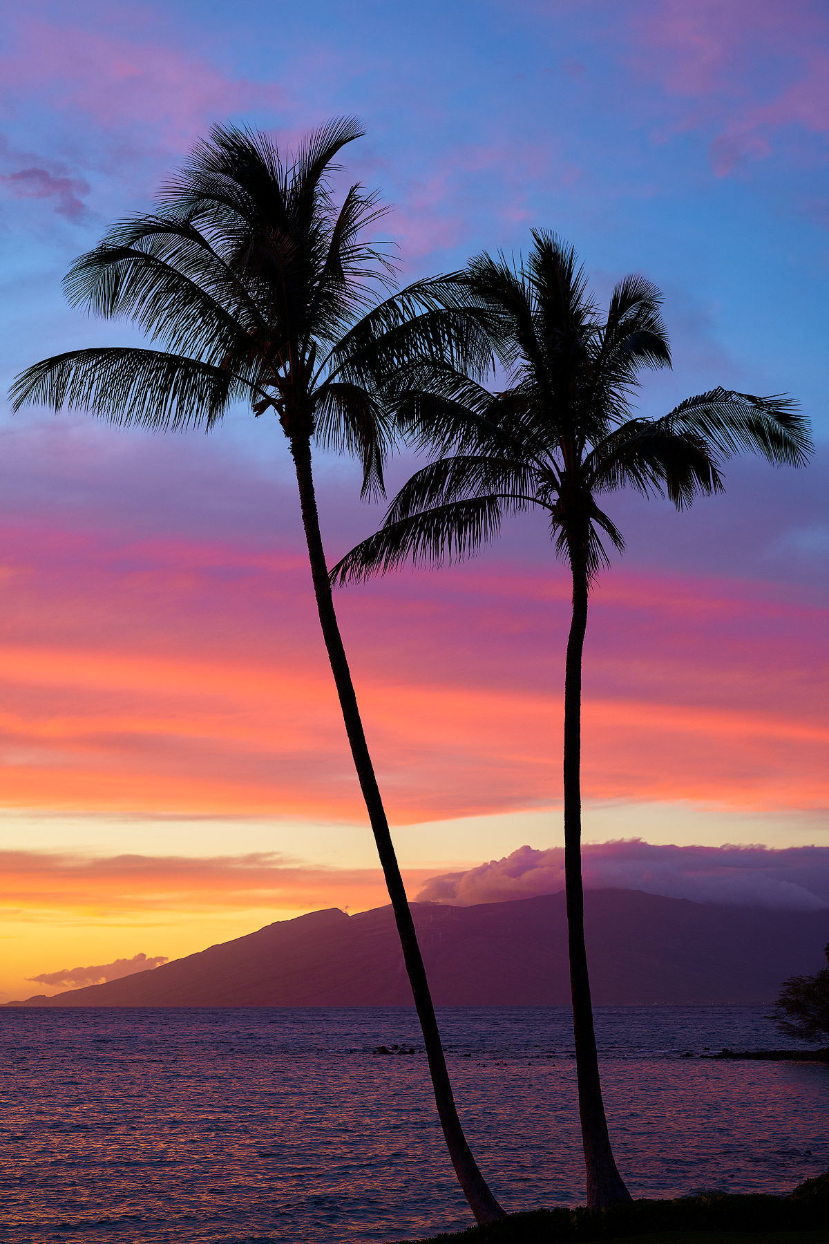 a beautiful sunset along the Wailea beach path at Ulua beach of two palm tree silhouettes.  Fine art beach sunset photography by Hawaii artist Andrew Shoemaker