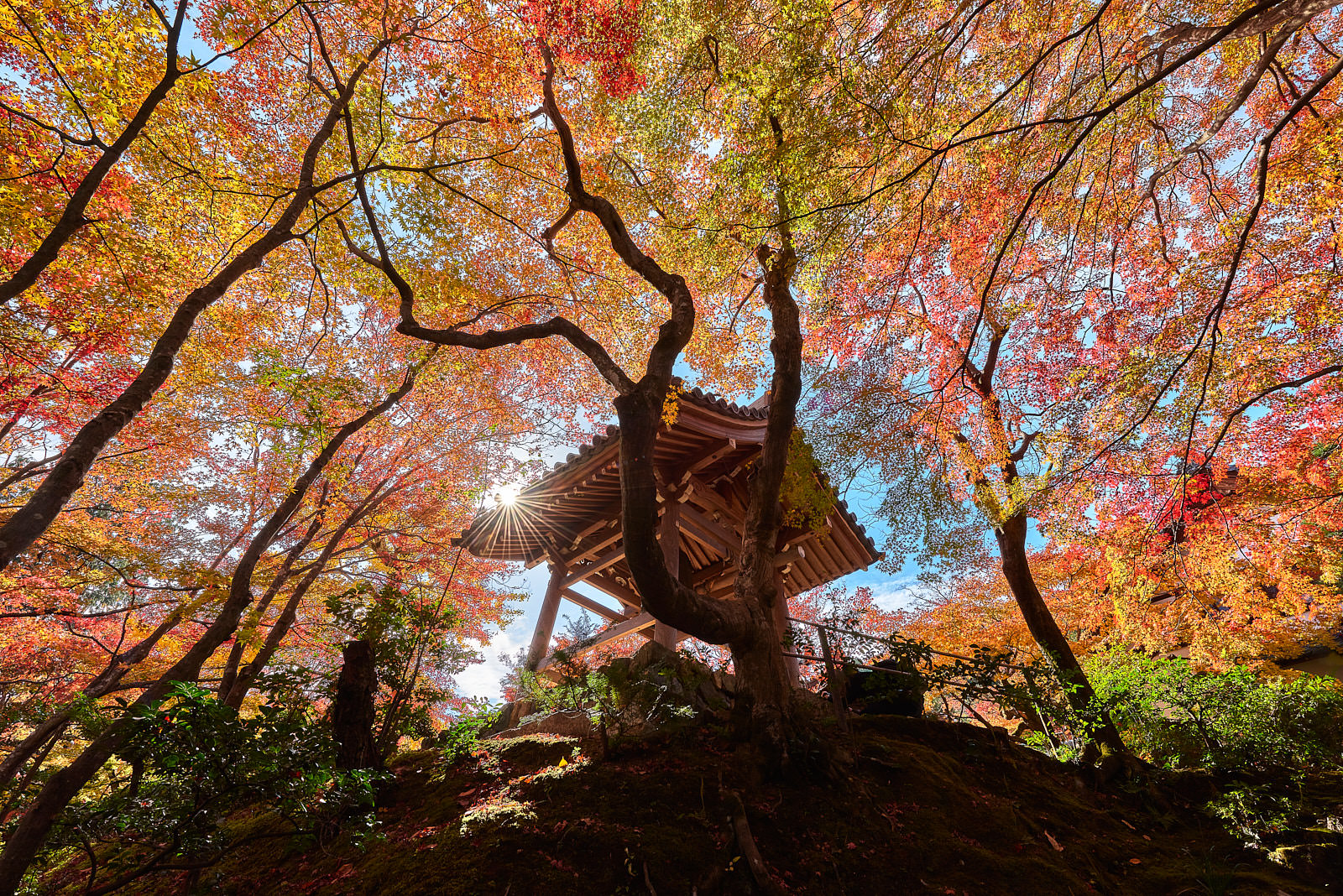 Enlightened looking up at a structure at the Enryaku-ji temple in Japan with vibrant fall colors all around and a sun star peaking through right above the temple
