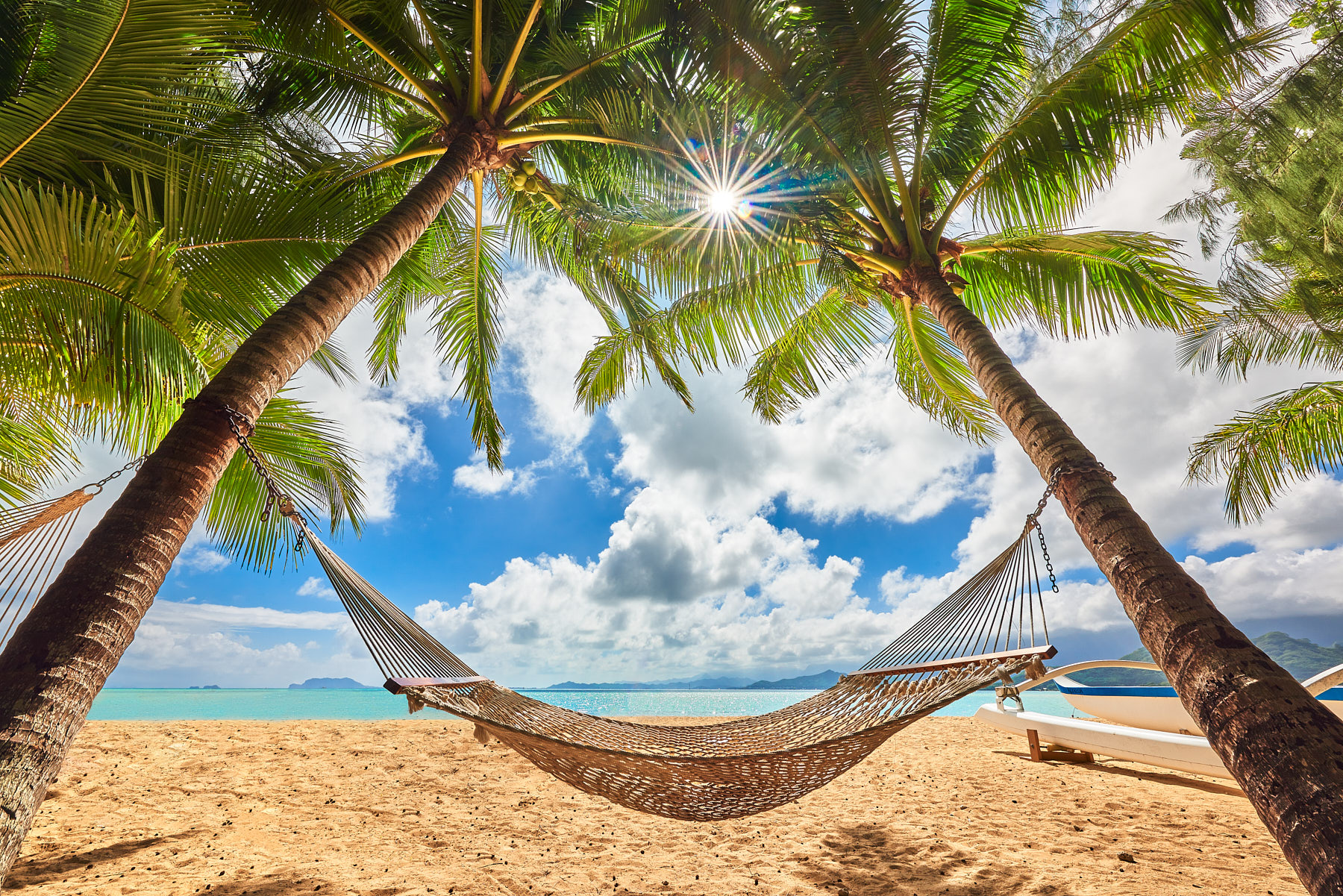 a relaxing scene as an inviting hammock is stretched between two trees at Secret Island on Oahu,  Hawaii
