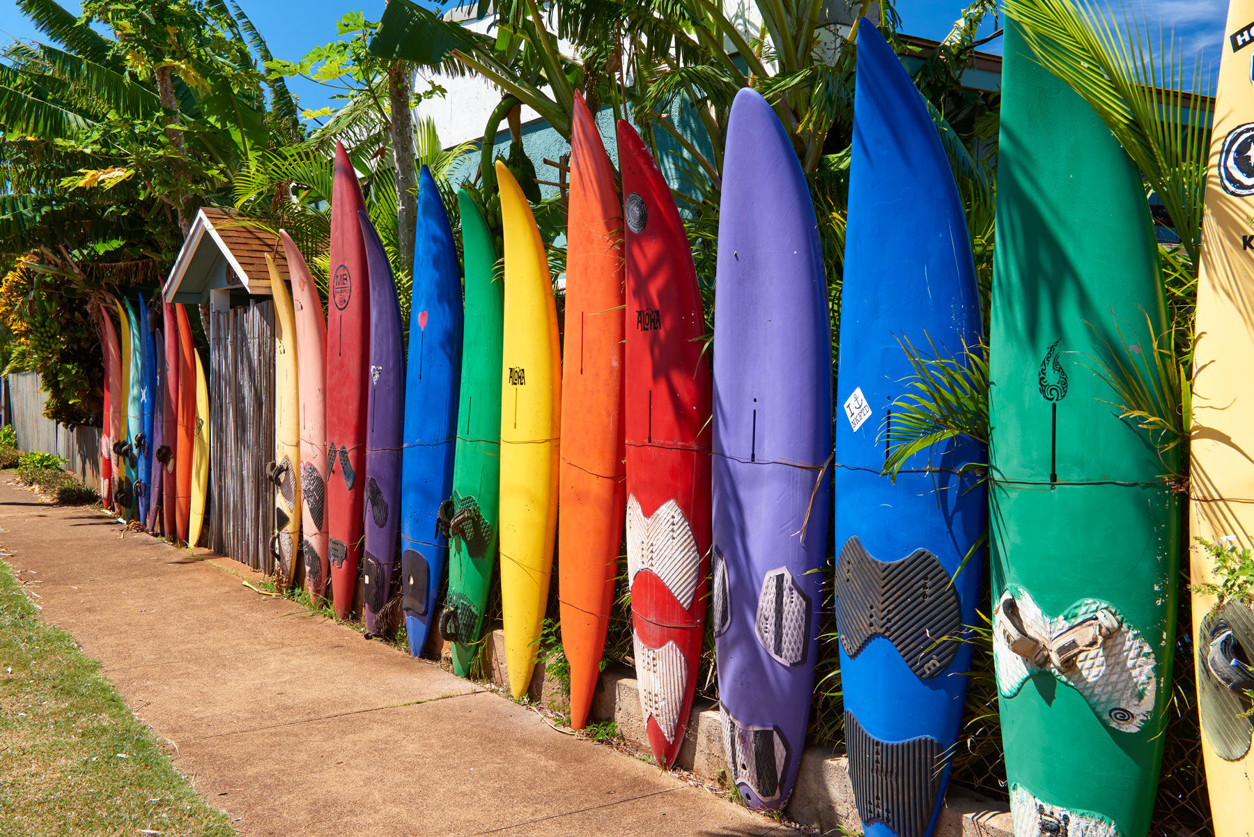 a photograph of a rainbow surfboard fence located in Paia on the island of Maui.  Photographed by Hawaii photographer Andrew Shoemaker