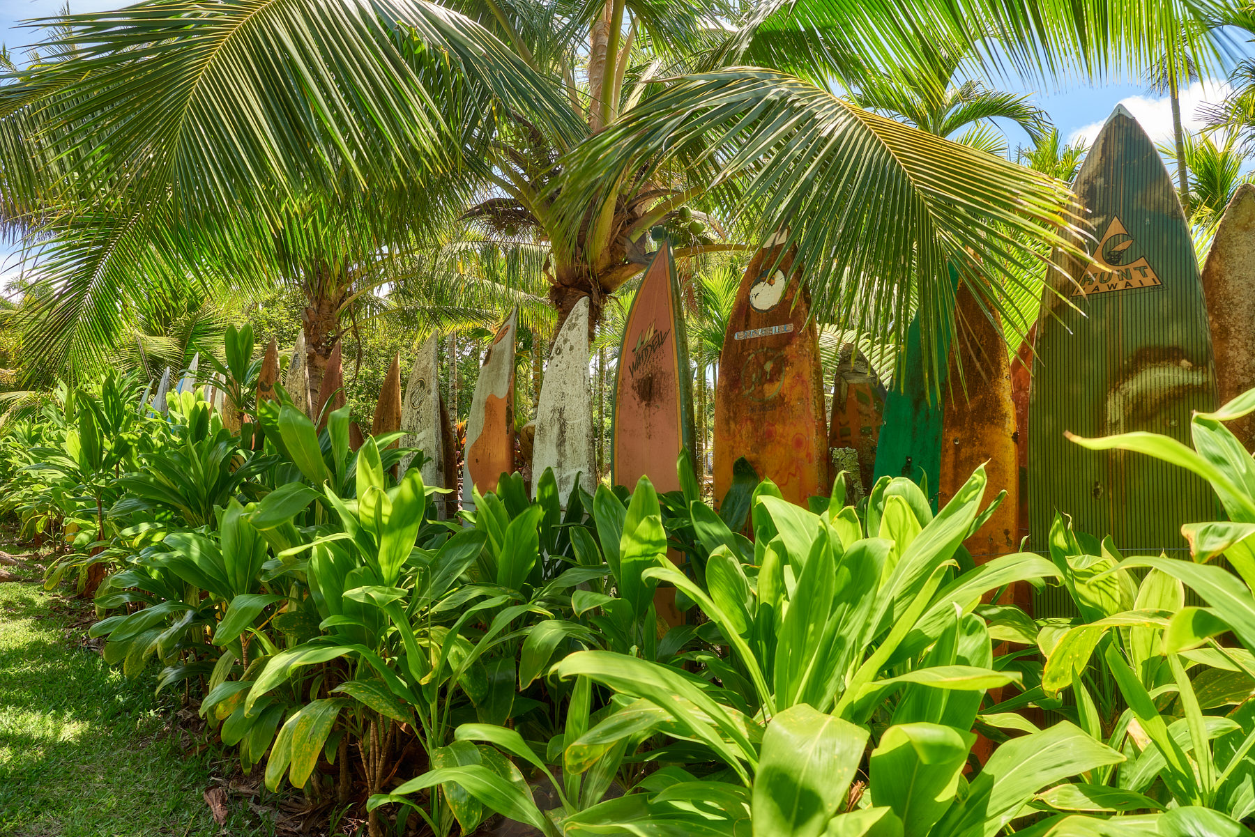 Hawaiian Style The original surfboard fence here on Maui. It was created as a way to secure surfboard during a hurricane and rest is history
