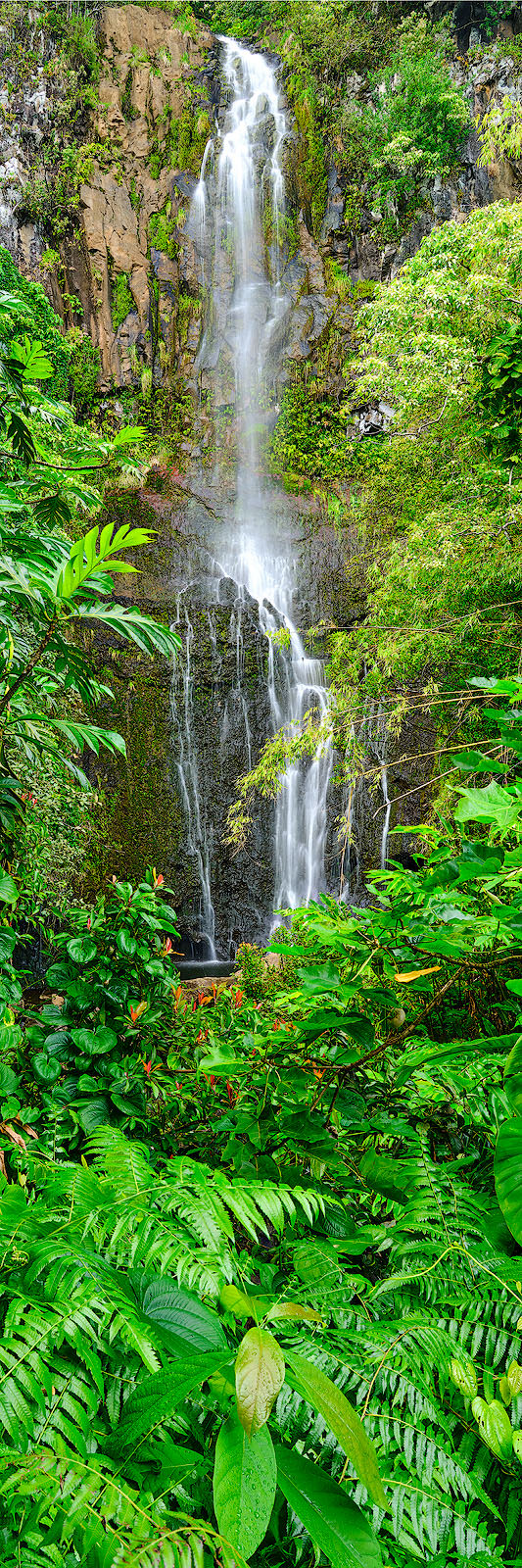 Inner Retreat Vertorama vertical panorama of wailua falls near Hana, Hawaii on the island of Maui. Extra large fine art photography prints by Hawaii artist Andrew Shoemaker