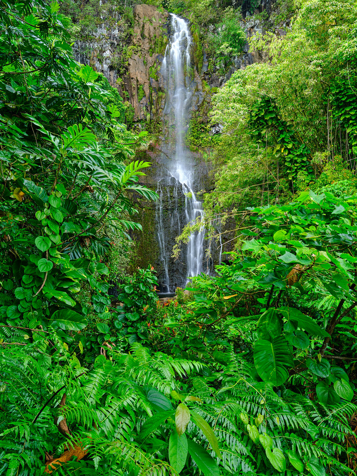 Inner Retreat vertical image of Wailua Falls surrounded by lush green foliage near Hana on the island of Maui Hawaii