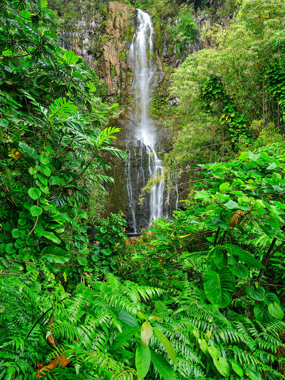 vertical image of Wailua Falls surrounded by lush green foliage near Hana on the island of Maui Hawaii
