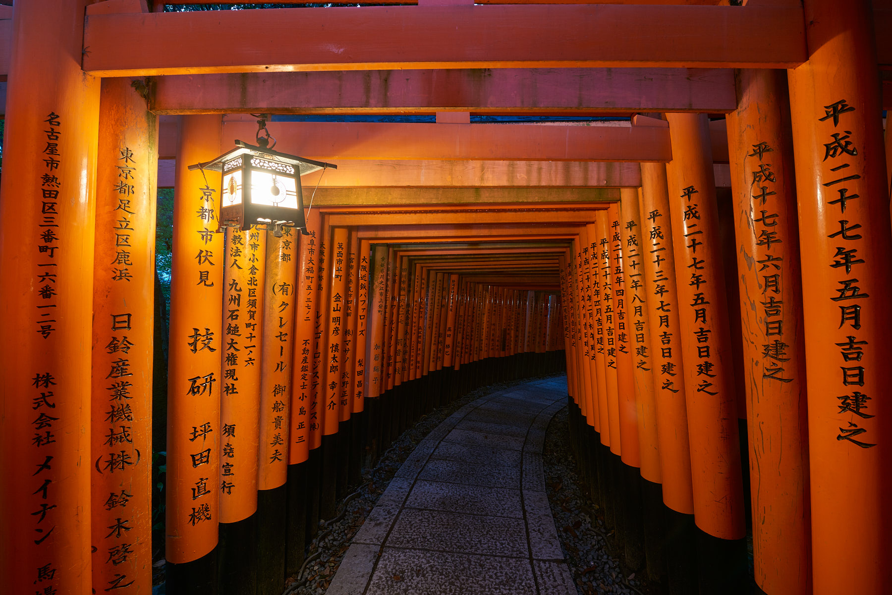 Into The Realm Looking down the gates of the spectacular fushimi inari shrine in Kyoto, Japan with a latern providing light before dawn