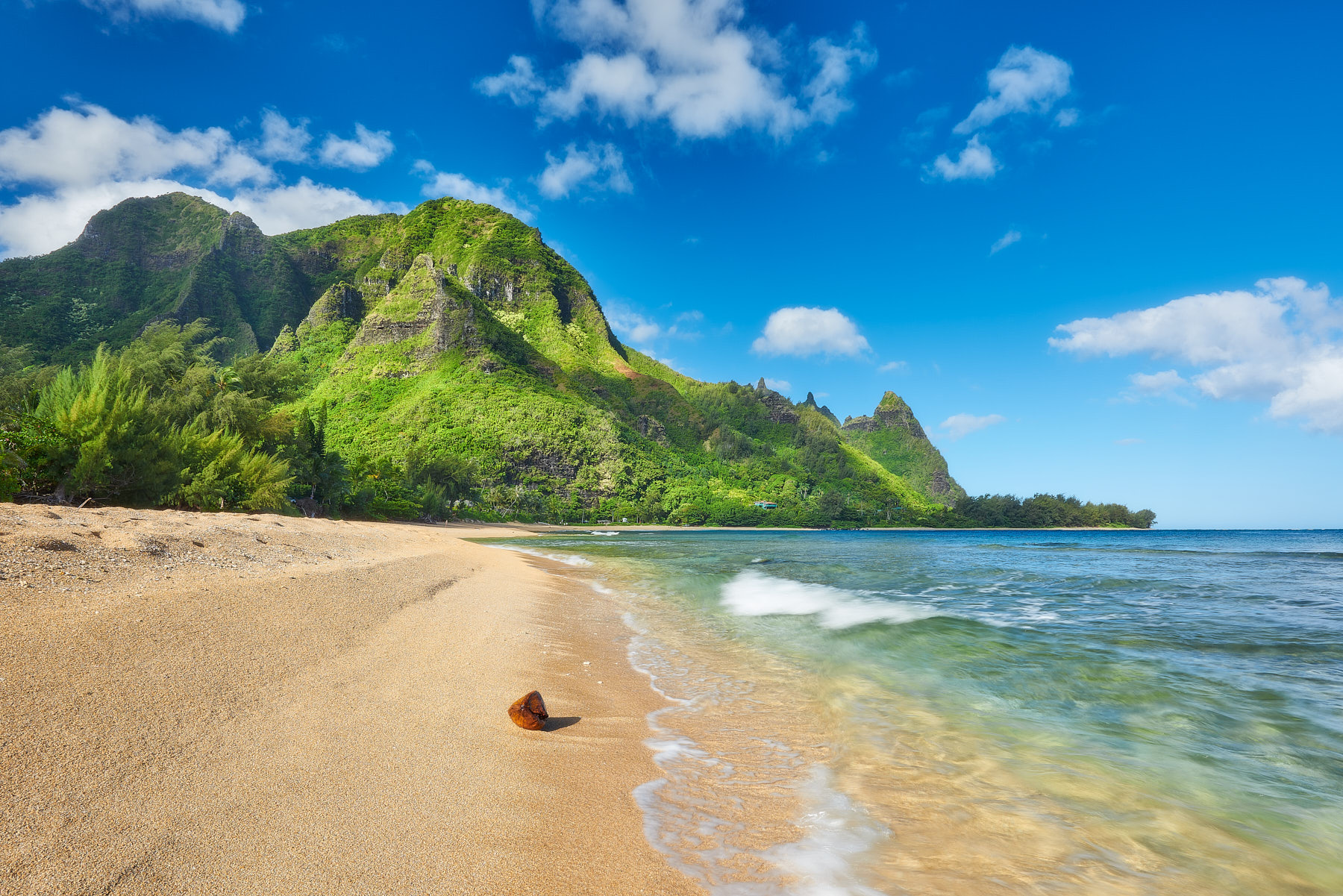 fine art photograph of the beautiful tunnels beach (also known as Maluaka) on the island of Kauai with a coconut found washing up in the tide along the beach