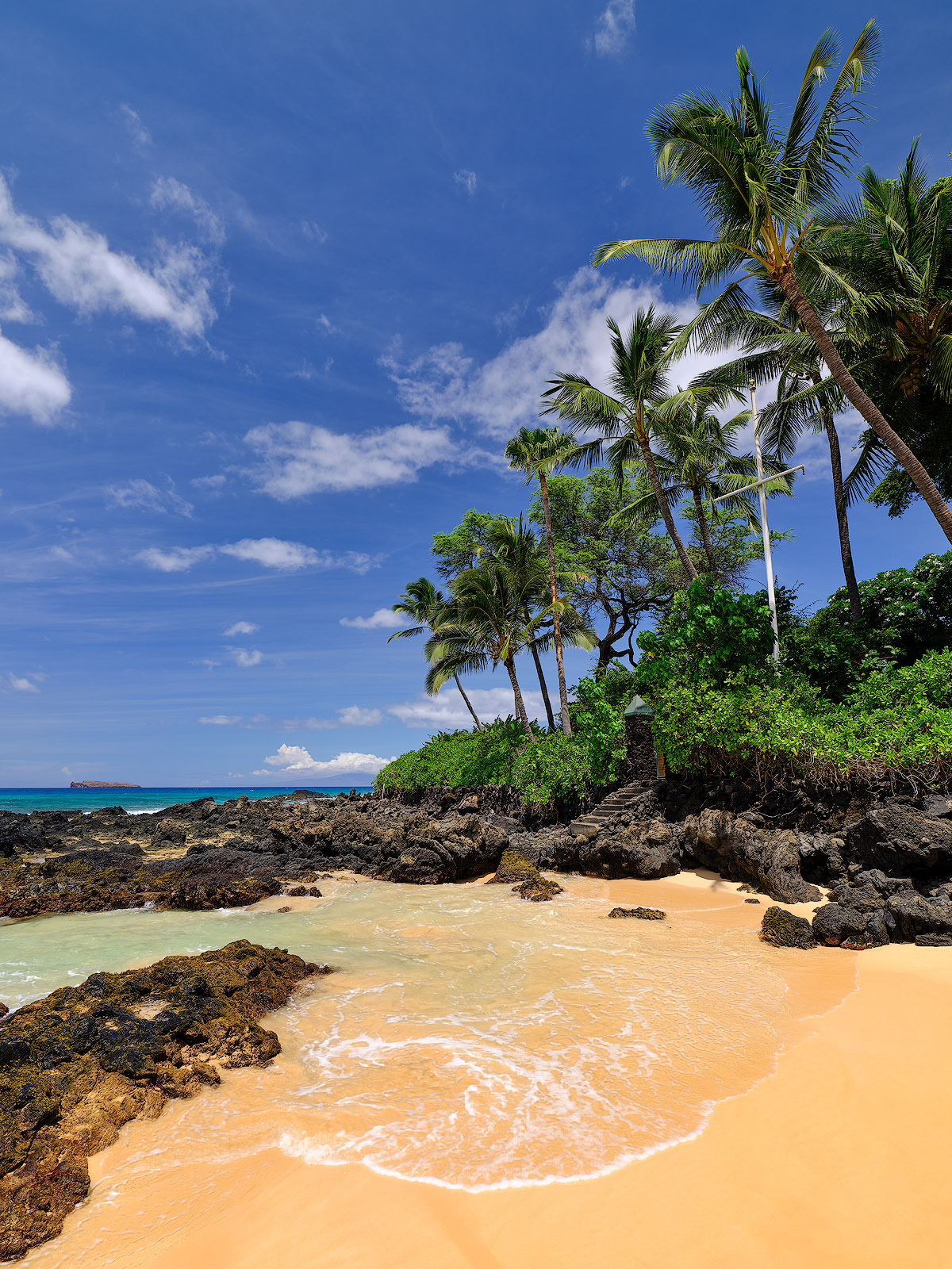 Island Sanctuary a picture of secret beach in Makena on the Hawaiian island of Maui featuring coconut palm trees on the right and an incoming wave along the white sand