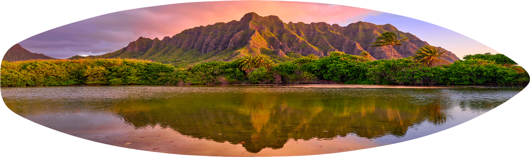 Jurassic Dawn Surfboard Oahu Hawaii