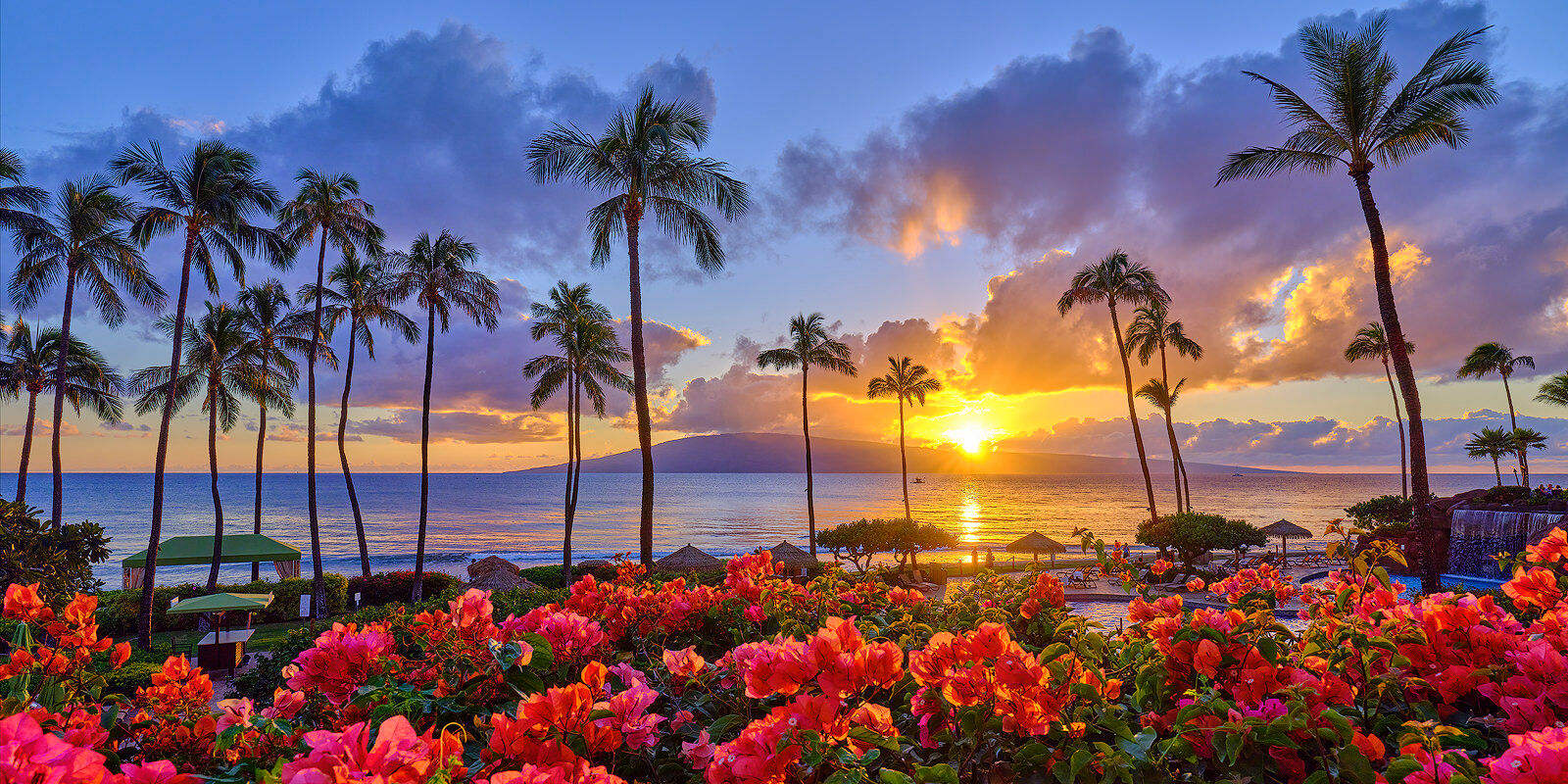 A very beautiful sunset at kaanapali beach with coconut palms and bright red flowers in the flowers in the foregound with the island of Lanai in the background