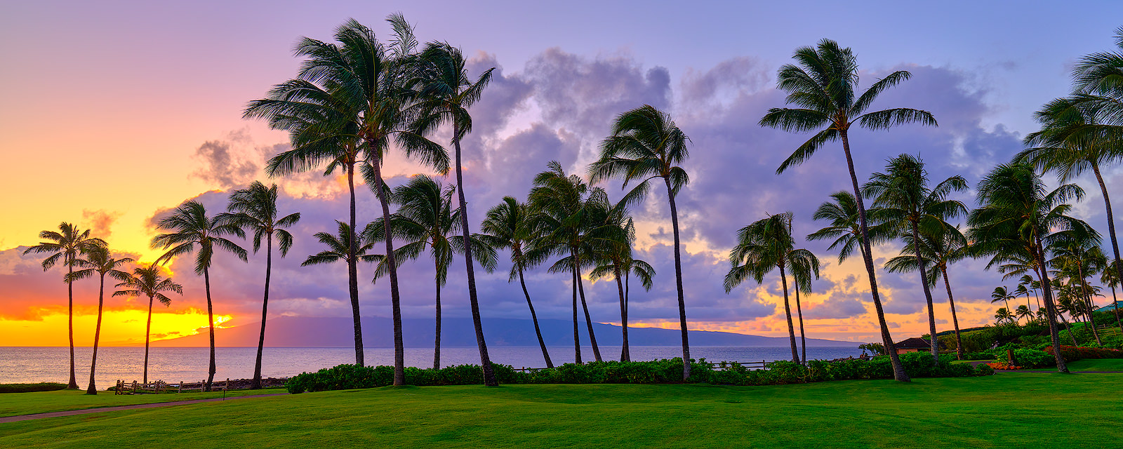 Palekaiko Palms a panoramic scene at Kapalua Bay on the island of Maui at sunset with coconut palms and the Hawaiian island of Molokai in the background.