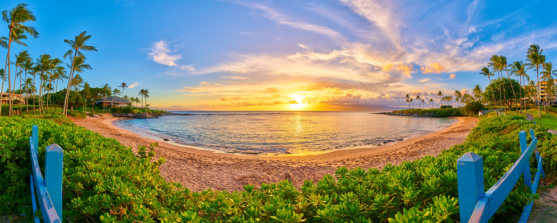 panoramic capture of the beautiful Kapalua Bay Beach Maui at sunset with a blue fence and surrounded by palm trees.  Fine art by photographer Andrew Shoemaker