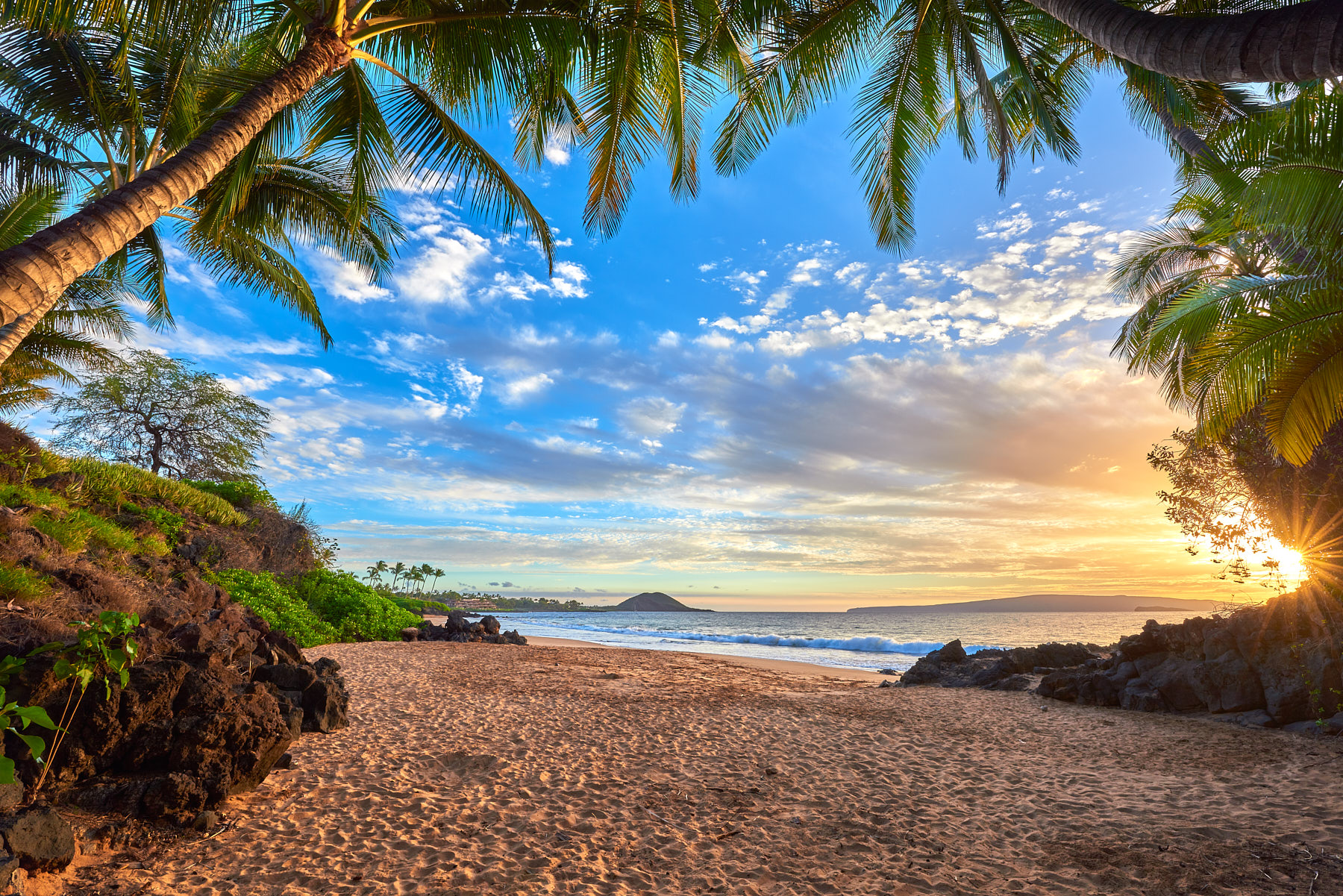 Looking out from a palm tree cave in Makena on the island of Maui at sunset with the sun peeking through around the corner. Photograph by Andrew Shoemaker