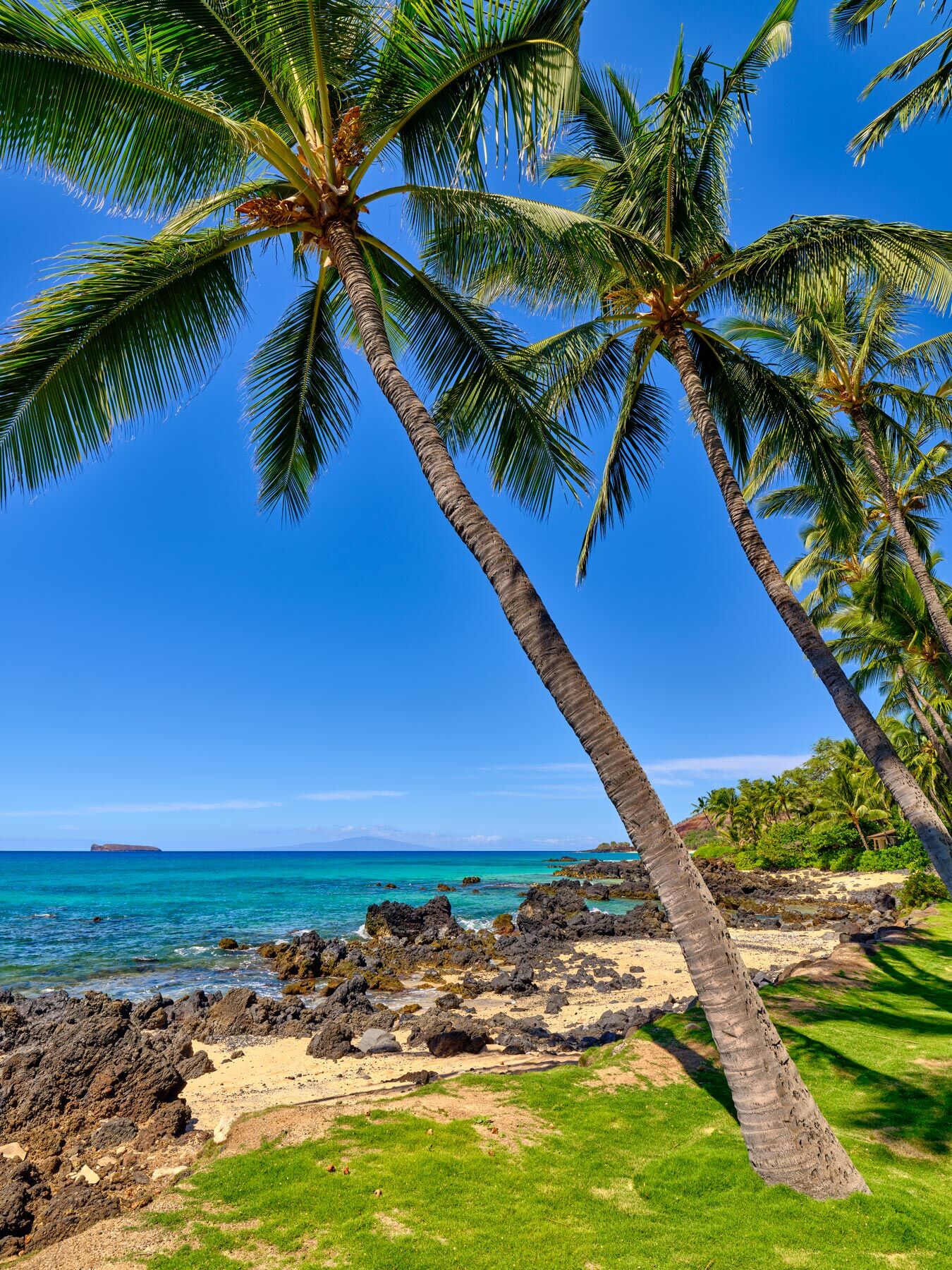 A beautiful row of palms along the coastline in Makena caught my eye.  In the background is the famous Molokini crater and the...