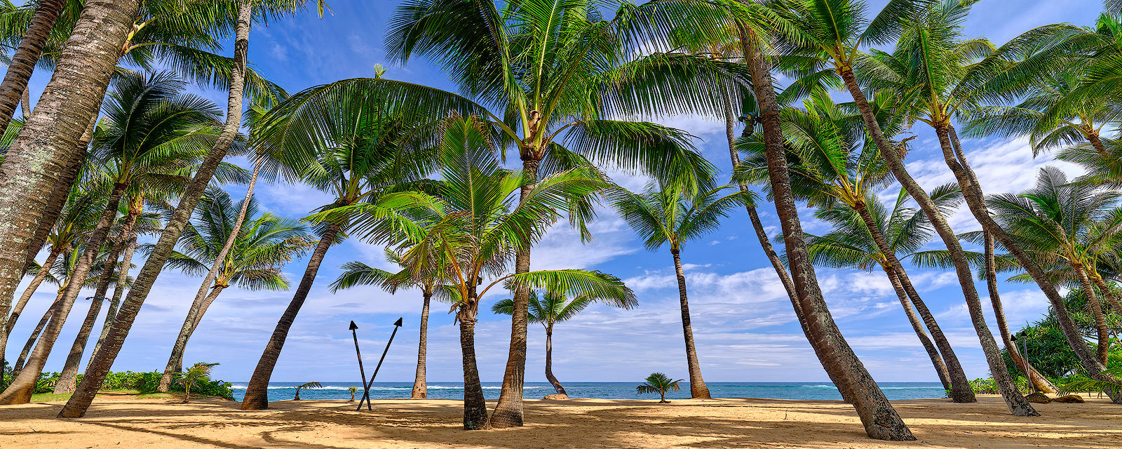 Mama's Cove A panoramic view at Mama's Fish House on Maui by fine art photographer Andrew Shoemaker