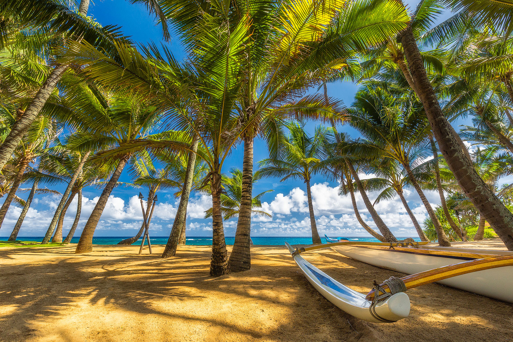 a classic blue sky view of the coconut palm tree cove at Mama's Fish House looking out at Kuau Cove on the island of Maui with an outrigger in the foreground 