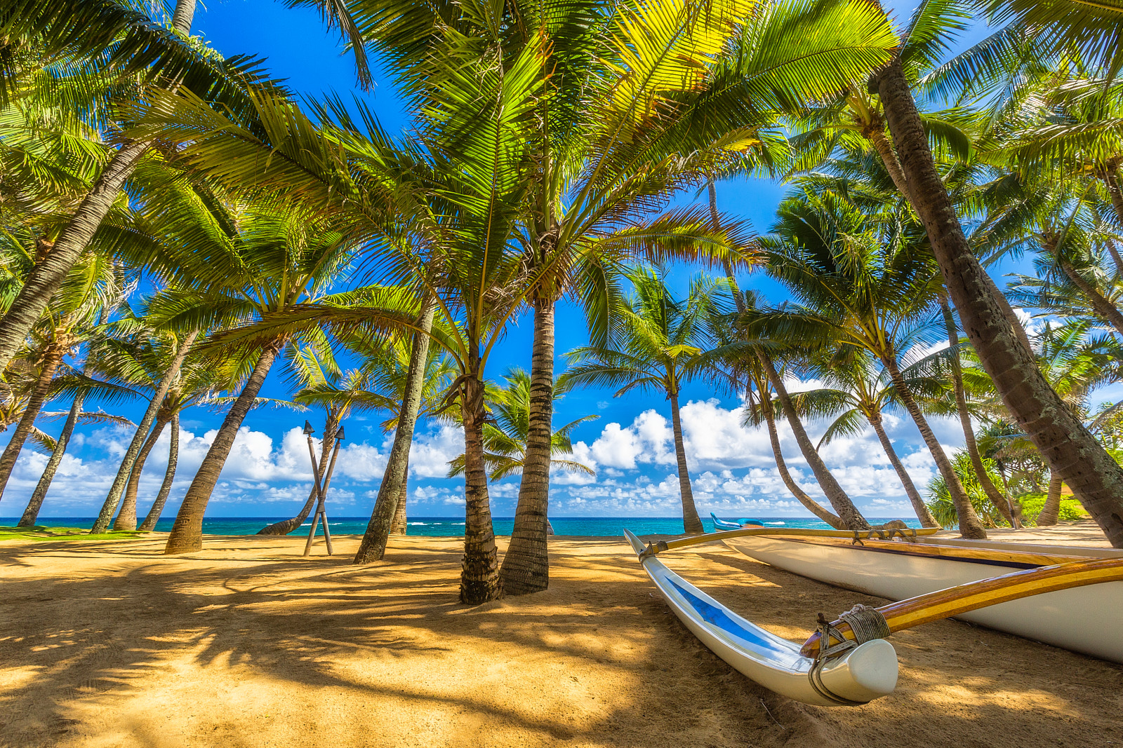 Mama's View a classic blue sky view of the coconut palm tree cove at Mama's Fish House looking out at Kuau Cove on the island of Maui with an outrigger in the foreground