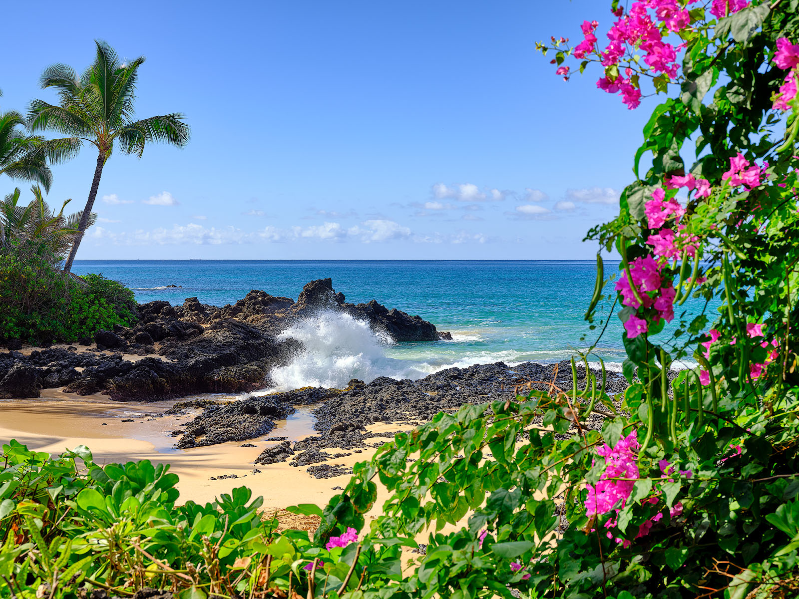 secret beach in the morning with pink flowers in the foreground and an incoming wave to the beach.  Hawaii fine art photography by Andrew Shoemaker