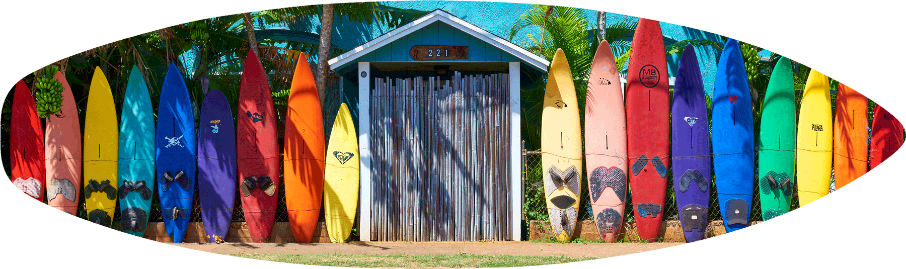 a rainbow surfboard fence in Paia on the island of Maui, Hawaii printed on a real surfboard.  Surfing Art by Maui fine art photographer Andrew Shoemaker