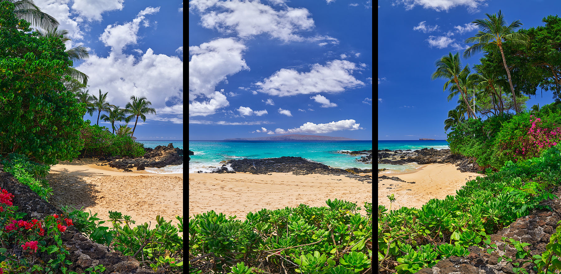 Paradise Cove Triptych panorama of Secret Beach on the island of Maui with no people, foliage and red flowers in the foreground on a crystal clear Hawaiian day