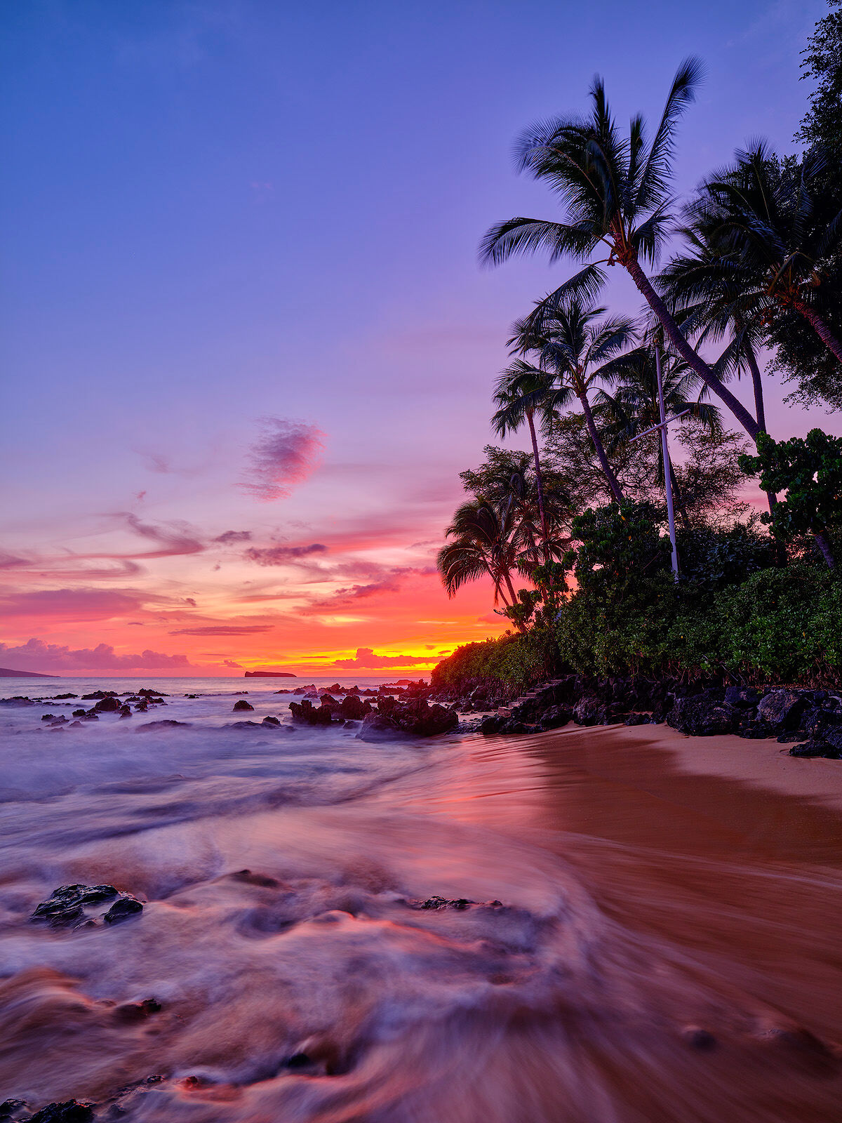Pau Hana afterglow of sunset vertical orientation of secret beach on maui with coconut palms on the right and water in the foreground
