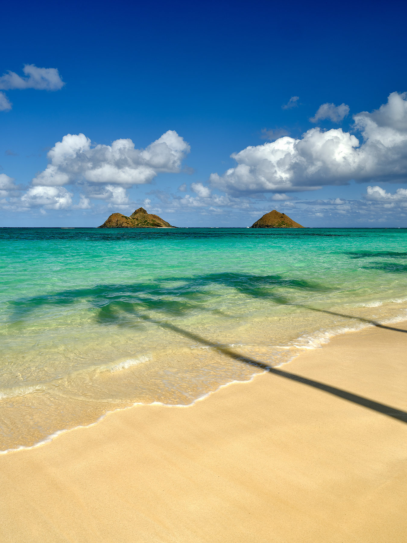 Vitamin Sea Lanikai Beach at sunrise with the Mokulua Islands, soft waves, golden sand, and a palm tree shadow stretching across the shore.