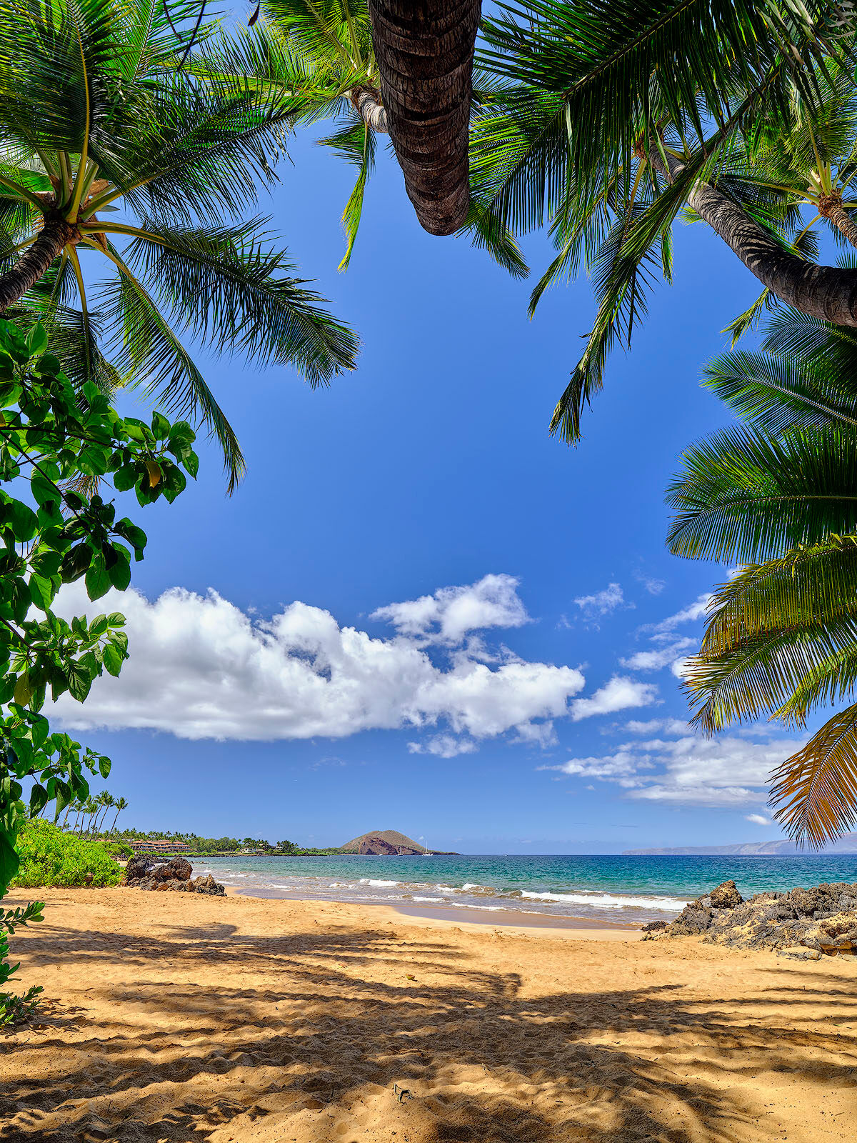 Window To Paradise looking out of a palm tree cave in Makena/Wailea out to the beach and ocean. Hawaii photography by Andrew Shoemaker