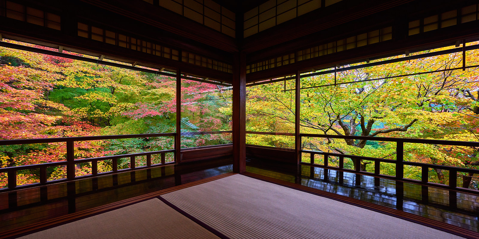 a panoramic scene at the Rurikoin temple in Kyoto, Japan with colorful maple trees in the background